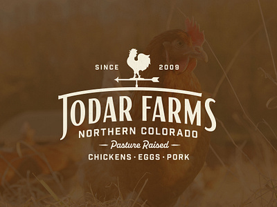 Jodar Farms Branding apparel badge badge design brand identity branding farm farm logo graphic design lettering logo design merch type typography visual identity