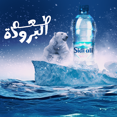 Sidi ali bear bottle branding cold design freeze graphic design illustration logo photoshop product snow social media water