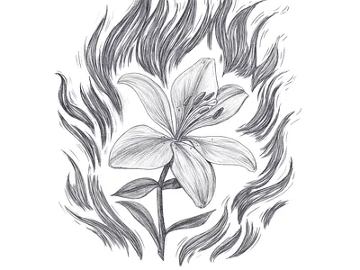 I will not be normal about this. drawing illustration lettering pencil pencil drawing type