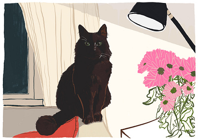 Bobby adobe fresco cat digital illustration illustration pet photoshop portrait
