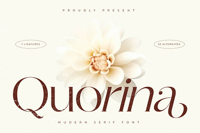 Quorina - Modern Serif Font design designer font fonts quorina modern serif font typeface typography