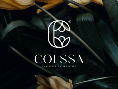 C FLOWER 3d animation branding graphic design logo motion graphics ui