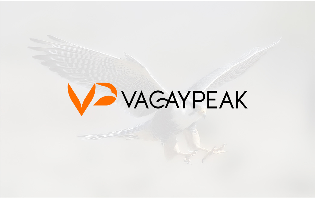 Example of Complete Branding & Identity Design