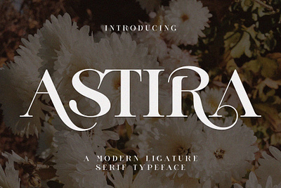 ASTIRA Modern Ligature Serif astira modern ligature serif design designer font fonts typeface typography