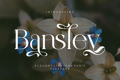 Bansley Elegant Ligature Serif bansley elegant ligature serif design designer font fonts typeface typography