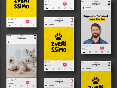 Zverissimo — An Animal Podcast amimalsdesign animal animalpodcast podcaststudio veterinary webforpodcast