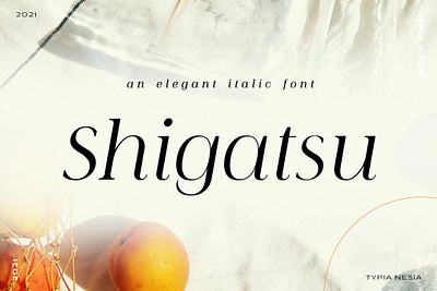 Shigatsu Font design designer font fonts shigatsu font typeface typography