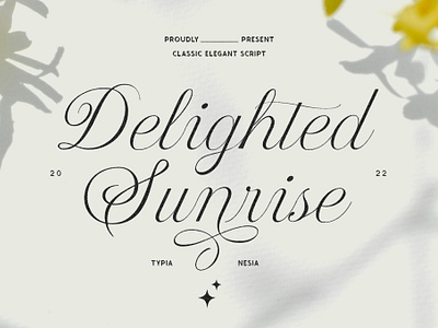 Delighted Sunrise Font delighted sunrise font design designer font fonts typeface typography
