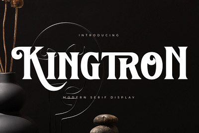 Kingtron - Modern Serif Display design designer font fonts kingtron modern serif display typeface typography