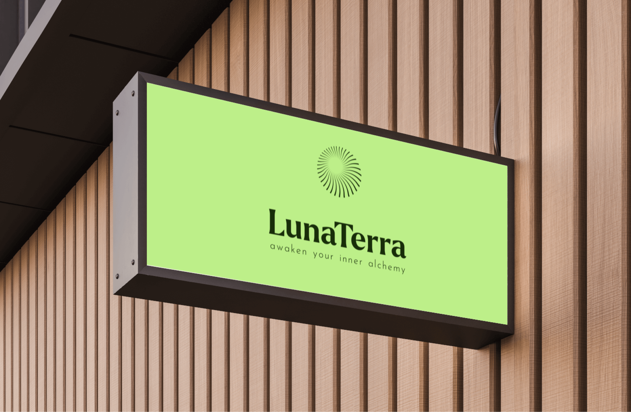 LunaTerra — Beauty Branding Design 3d animation brand branding business consultancy corporate dotpixel agency financial graphic design illustration logo logo design lunaterra motion graphics saas mobile app design ui ui design ux ux design
