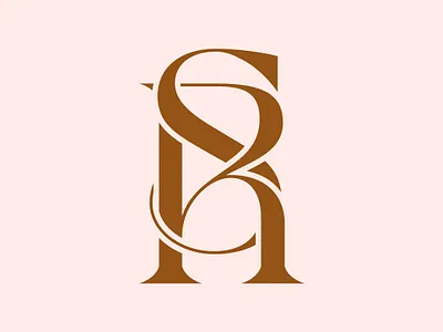 NS clothing brand logo NS monogram logo brand design brand identity brand logo business logo design illustration letter logo minimalist logo monogram logo ns clothing brand logo ns letter logo ns monogram logo