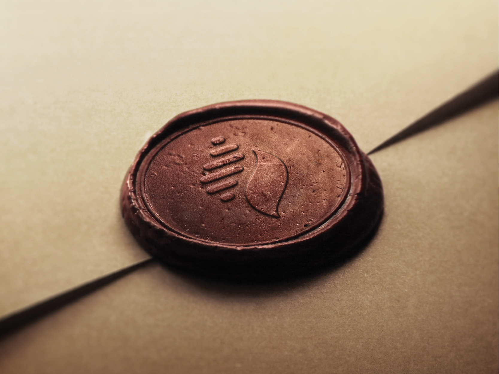 SLN VENTURES branding illustrations logo logodesign motion graphics ui ux webdesign