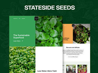 Website Design: For A Sustainable Superfood Wholesaler Company branding design design agency icon pro solutions iconprosolutions organic superfood superfood company sustainable ui ux web webdesign website website design