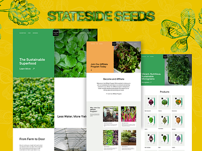 Website Design: For A Sustainable Superfood Wholesaler Company branding design design agency icon pro solutions iconprosolutions organic superfood superfood company sustainable ui ux web webdesign website website design