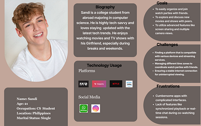 User Persona design figma ui ui design user persona