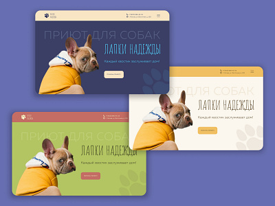 Main Screen Design Concepts for Dog Shelter Website [01] design ui