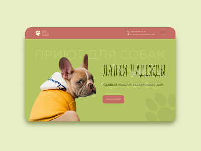 Main Screen Design Concepts for Dog Shelter Website [02]