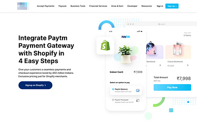 Web Design & Illustrations for Payment Gateway Site graphic design illustration infographics typography ui design