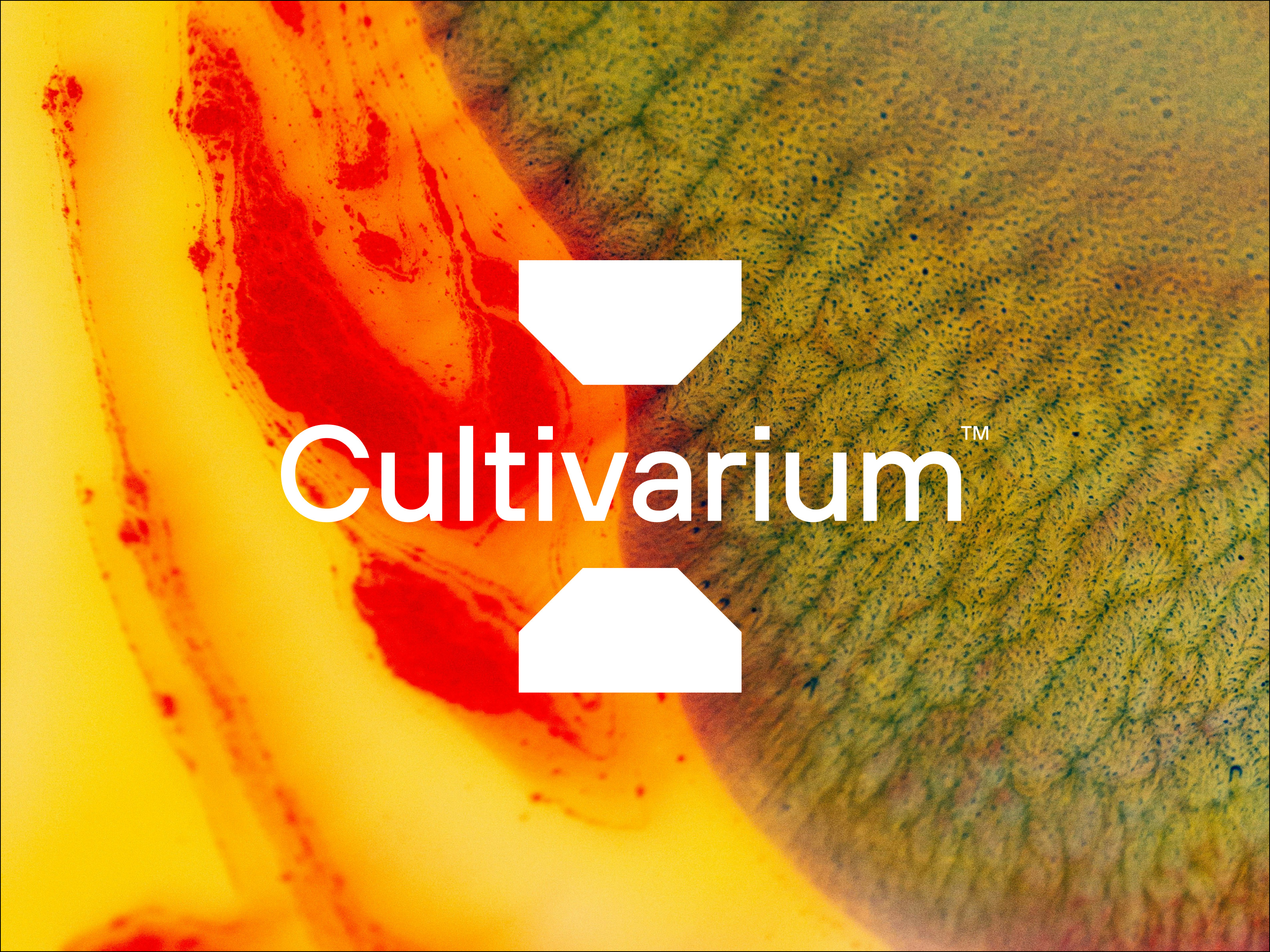 Cultivarium — Unused Concept biotechnology blog collage brand brand identity branding collage creative brand lab logo logo design logo identity research research logo simple logo startup startup brand startup logo technology technology logo