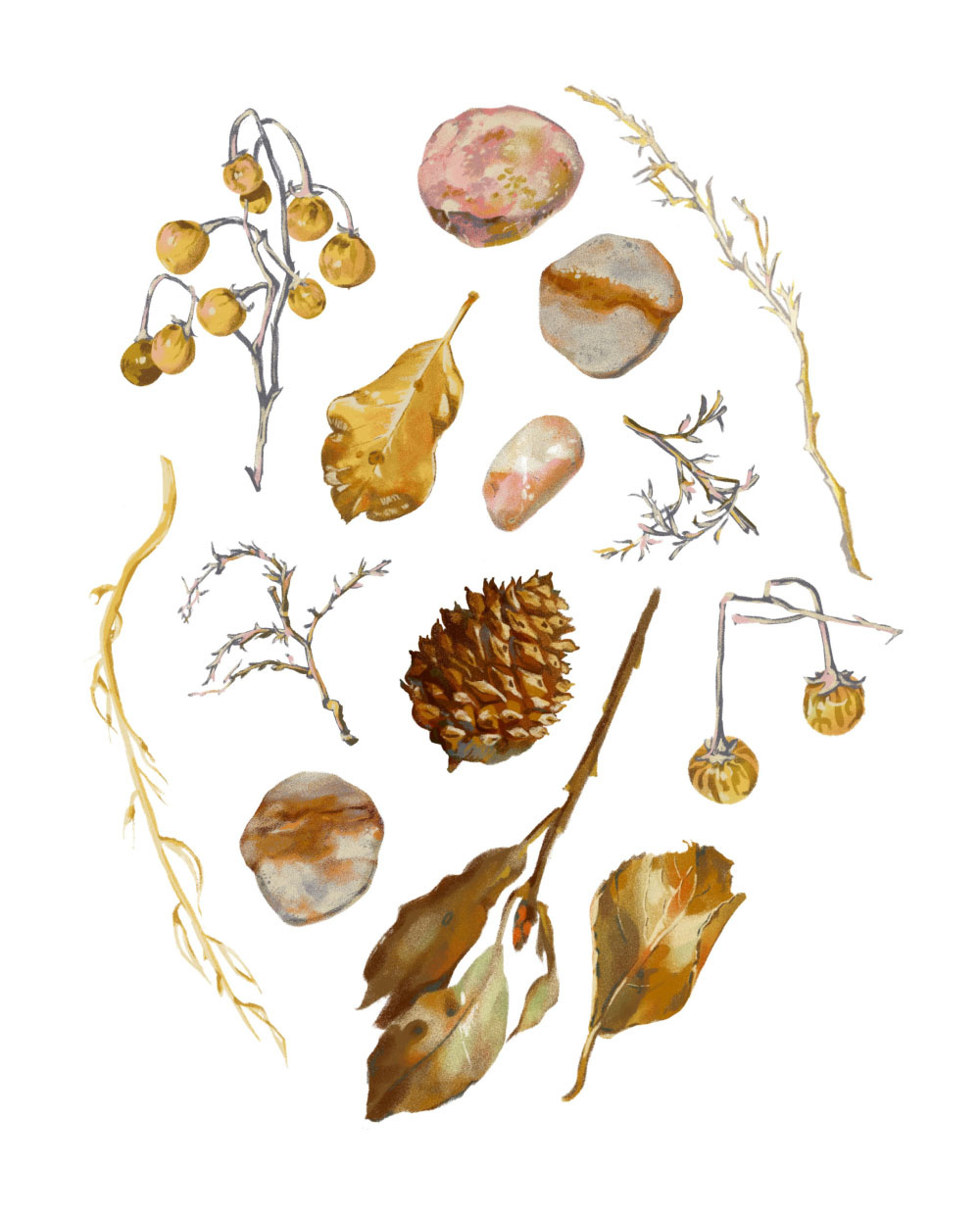 The Utah Collection - i2i Art Inc. - ©Andrea Cheung andrea cheung botanical contemporary elegant i2i art illustration nature painterly textured