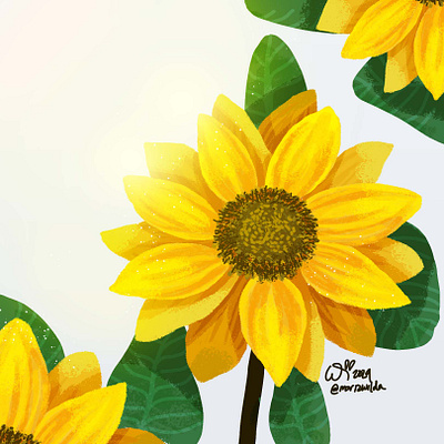 Sunflower floral flower illustration photoshop