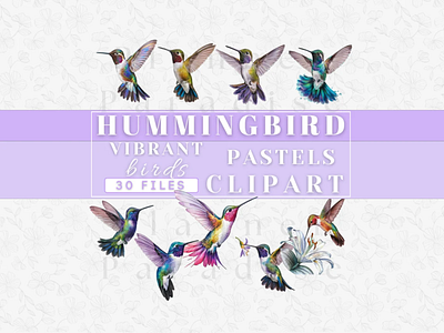 Hummingbird Clipart