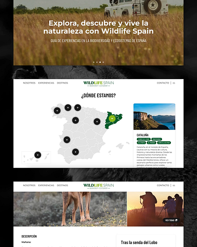 Wild Life Spain 🌳🐺 design development ui ux web design