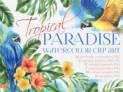 Parrots and tropical plants watercolor clip art hand drawn