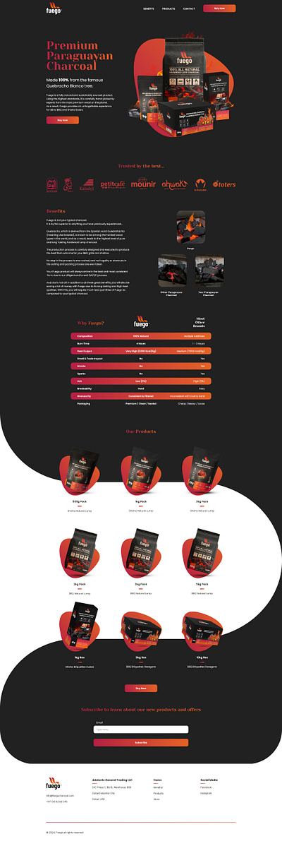 Fuego Web Design design logo modern professional simple ui uiux ux web webdesign website