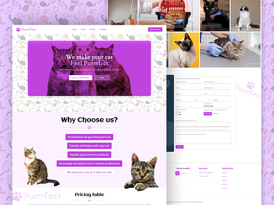 Purrrfect - UI Website Design for Pet care app ui