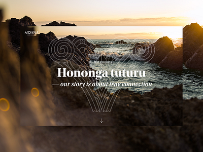 Moana New Zealand Annual Report annual report ui design ux design visual design