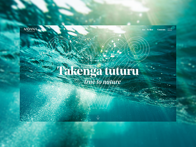 Moana New Zealand Annual Report annual report ui design ux design visual design