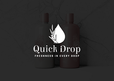Quick Drop - Branding Project branding graphic design logo ui