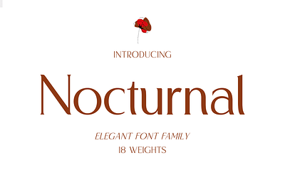 Nocturnal – Modern Luxury Sans sophisticated charm typeface
