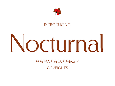 Nocturnal – Modern Luxury Sans sophisticated charm typeface