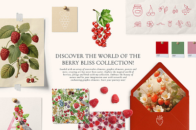 Berry Bliss Watercolor Collection 3d animation baroque design graphic design logo motion graphics