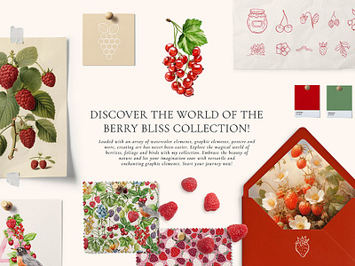 Berry Bliss Watercolor Collection 3d animation baroque design graphic design logo motion graphics