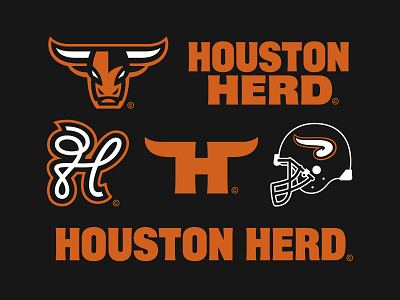16/32 – Houston Herd branding bull design flash sheet football graphic design herd horns houston illustration logo sports sports branding texas typography