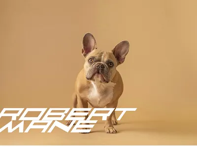 Faqro Extended Slant Font tech