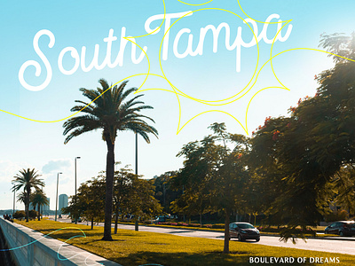 South Tampa, Bayshore Blvd bayshore florida graphic design south tampa