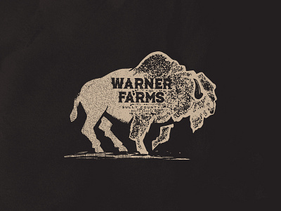 WARNER BUFFALO arkansas branding buffalo design illustration logo texture tshirt typography vintage