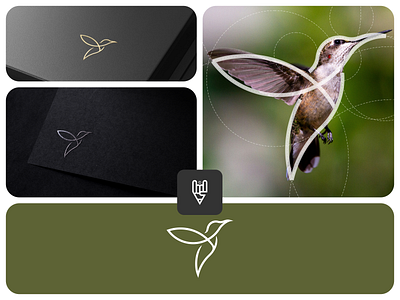 Bird Logo Design app bird logo branding design flat golden ratio graphic design grid logo icon illustration line art logo ui vector