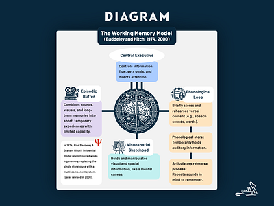 The Working Memory Model design diagram graphic design illustration infographic presentation psychology the working memory model typography ui ux ux stalin
