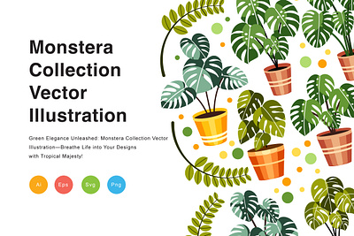 Monstera Collection Vector Illustration flora