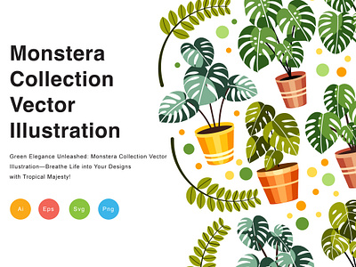 Monstera Collection Vector Illustration flora