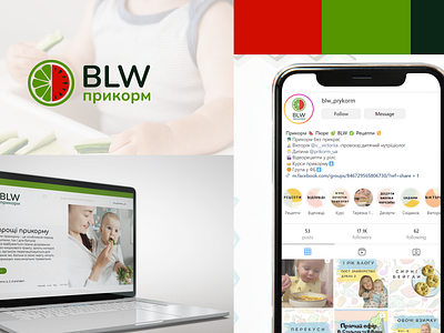 Logo for a blog by doctors dedicated to BLW feeding bra branddesigner brandidentity branding design graphic design logo logodesign logotype