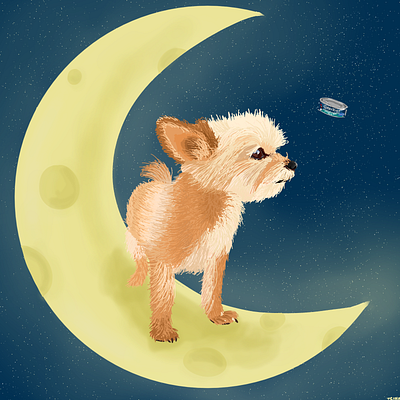 Luna Illustration art design illustration pets