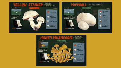 Mushroom ID Cards charts fungus illustration infographics lettering mushrooms mycology science illustration typography