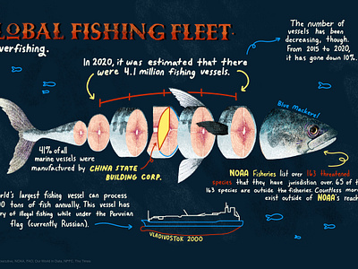 Global Fishing Fleet Infographic environment environmentalism fish fishing illustration infographic lettering noaa ocean sea sea life typography