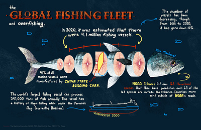 Global Fishing Fleet Infographic environment environmentalism fish fishing illustration infographic lettering noaa ocean sea sea life typography